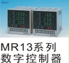 SHIMADEN岛电 MR13系列